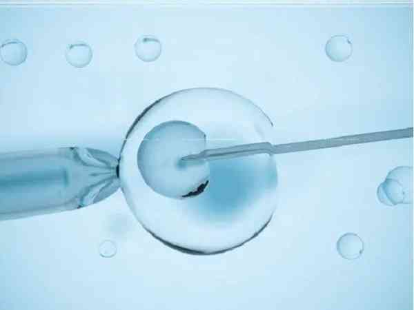 国内正规公立医院做供卵试管的步骤和流程是怎么样的？