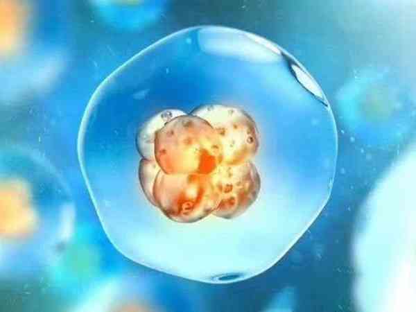4cc的囊胚等级低质量差还有移植的必要吗？