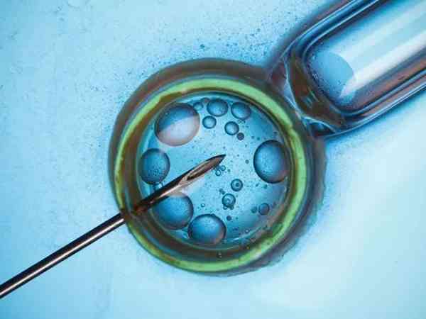 优质胚胎4ab是培养了几天的囊胚？