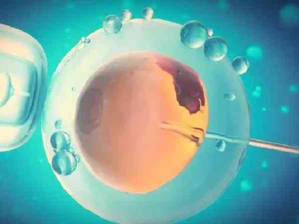 超长方案打完达菲林后多久能够移植冻囊胚？