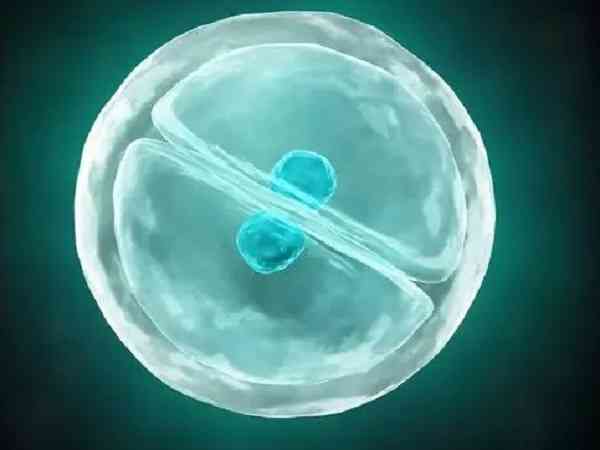 移植囊胚第七天测出粉印一深一浅是怀孕的信号吗？