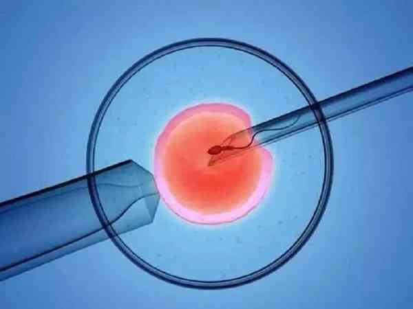 囊胚移植第九天hcg低测出白板还有机会成功吗？