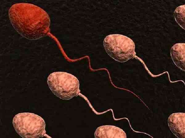 正常男性2-6毫升精液中的精子总数是多少？