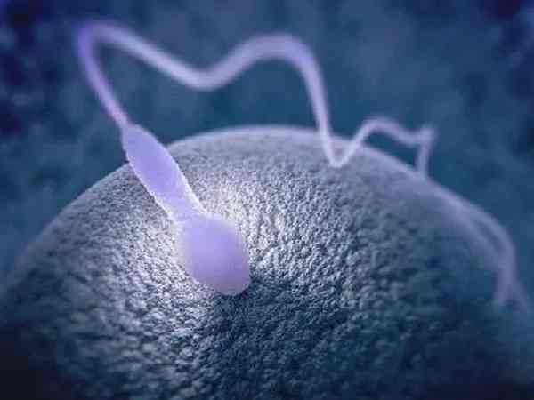 精子畸形率90%该怎么办才能降低？能生育的概率大吗？