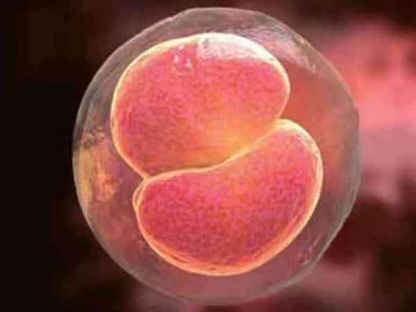 胚胎9c4是什么意思？能养成优质囊胚吗？