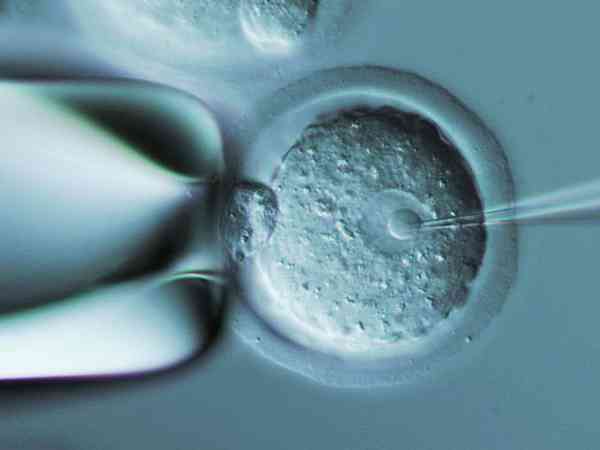 9c1胚胎是什么级别？能发育成囊胚吗？