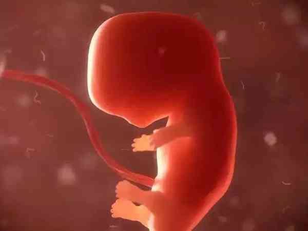 为什么医生都说孕早期宝宝没那么容易胎停？