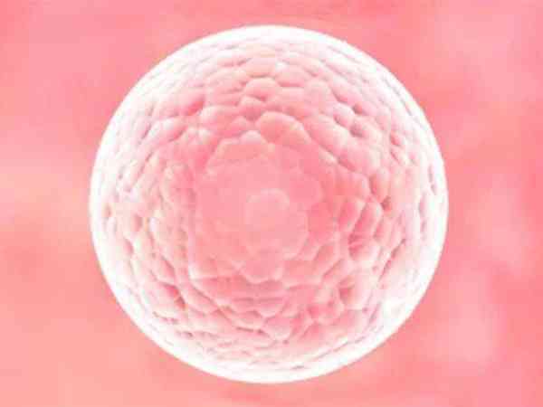 卵巢早衰做阴超为什么还有9个基础卵泡？