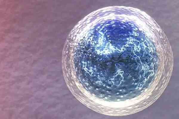 胚胎解冻后升级达到几个细胞质量好？