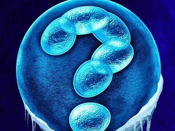 胚胎级别中4cc和8细胞三级哪个质量好？
