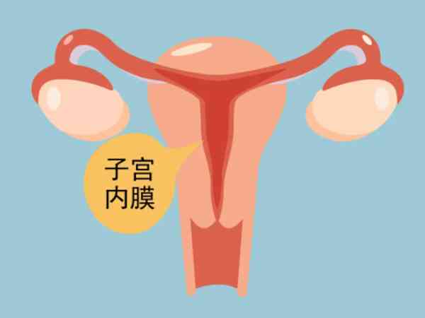 子宫内膜a型和b型除了厚度不同还有什么区别？