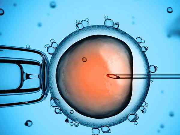 拮抗剂方案取卵当月能移植鲜胚吗？
