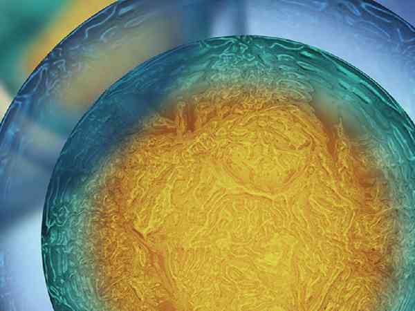 囊胚移植属于试管婴儿第几代？