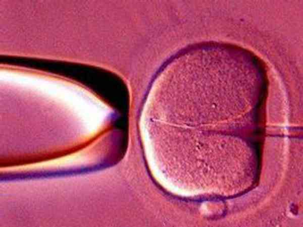 卵泡较少2到3个怀孕几率多少？