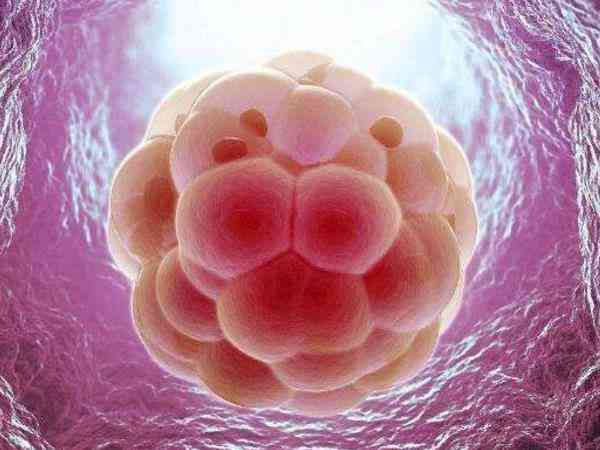 移植冻囊胚19天出轻微鲜血的主要原因是什么？