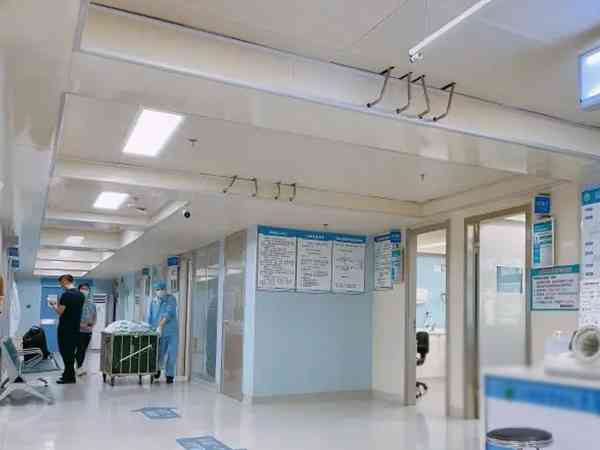 深圳试管婴儿医院成功率排名第一的是哪家？