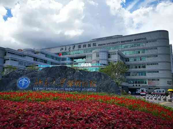 北大深圳医院三代试管婴儿胚胎移植成功率是多少？