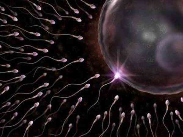 二代试管对男性精子活力的要求高吗？