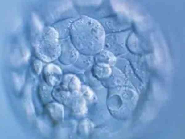胚胎4BB解冻后降级了还能移植成功吗？