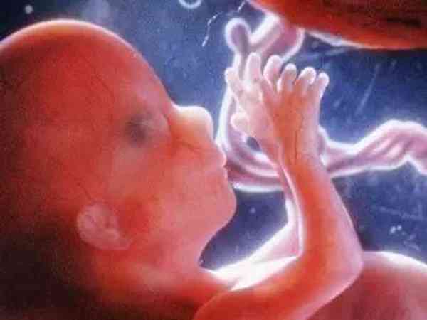 孕1-40周胎儿发育过程图是怎么样的？