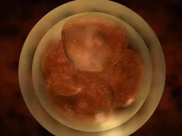 胚胎8c2和7c2哪个质量级别好一点？