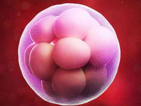 9细胞二级胚胎容易着床吗？