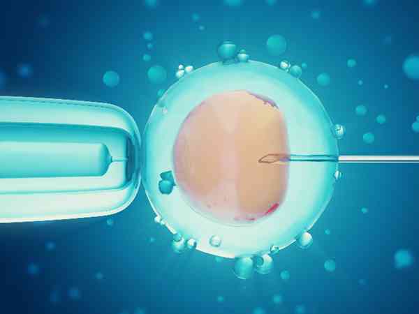 采用拮抗剂方案要满足什么条件才能移植鲜胚？