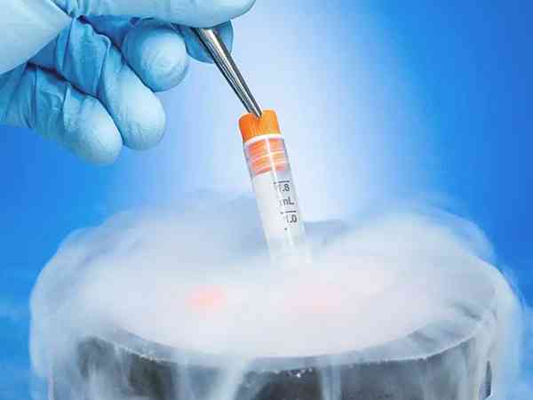天津哪里有可以合法冷冻卵子的医院？