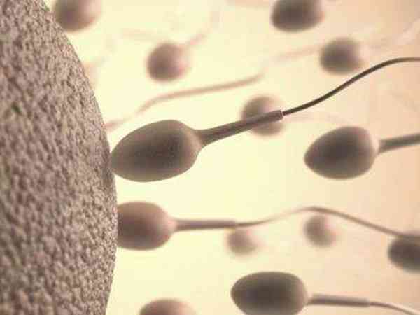 第三代试管对精子的要求高吗?