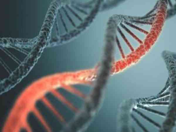 基因突变跟精子畸形率有关系吗？