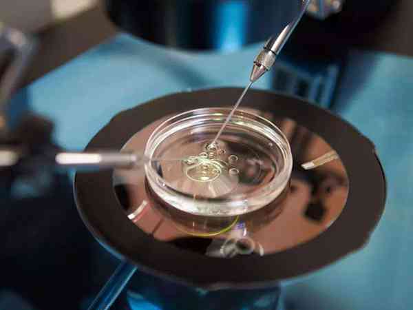 国外做第三代试管移植囊胚的成功率多高？
