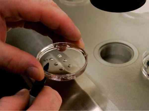 为什么优质胚胎养囊的结果也会不好呢？