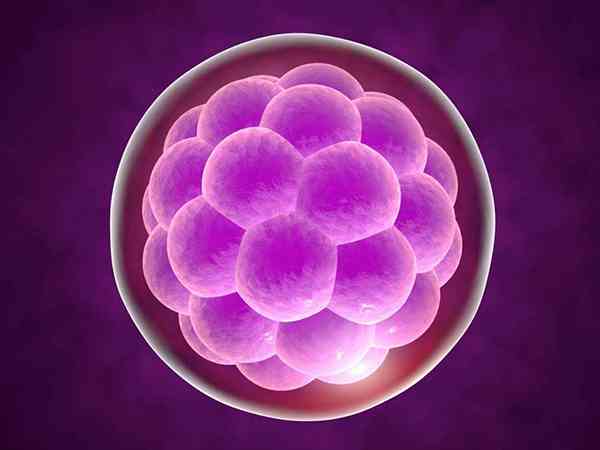 4bb级囊胚会有染色体缺失的情况吗？
