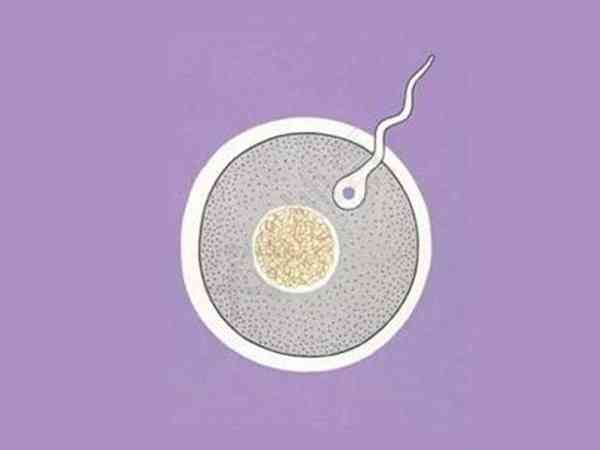 试管促排卵泡一天长多少毫米正常？