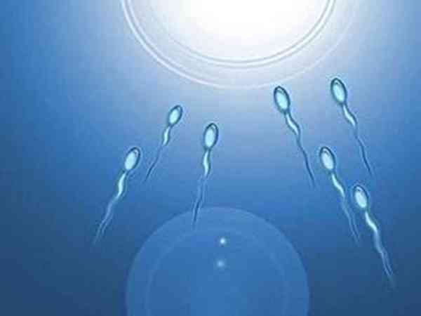 女方申请精子库供精条件有哪些？