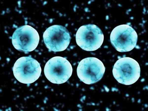 激素检查amh0.19说明卵巢里还有多少卵子？