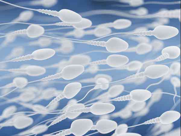避孕套里2毫升液体精子参照图片是怎么样的？
