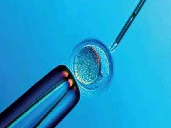 二级胚胎解冻后变三级胚胎是什么原因？
