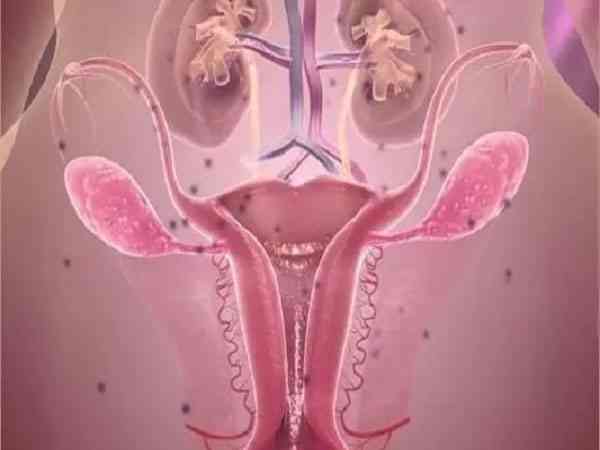 子宫内膜血流分型2级什么意思？利于胚胎着床吗？