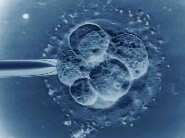 胚胎7c3质量是什么级别的？