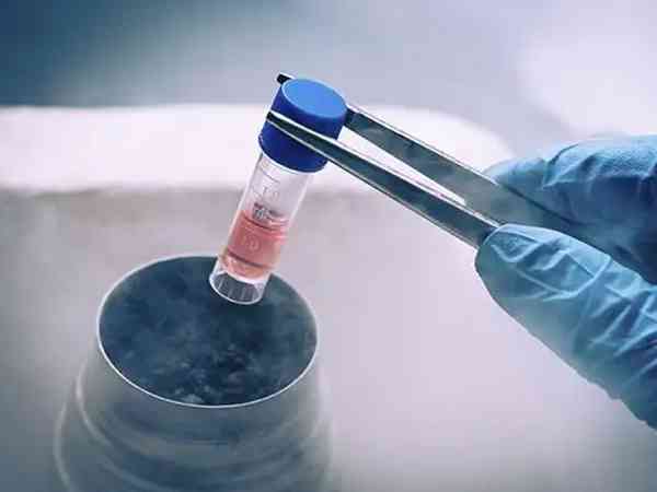 沈阳盛京医院冷冻5个胚胎一年费用要多少钱？