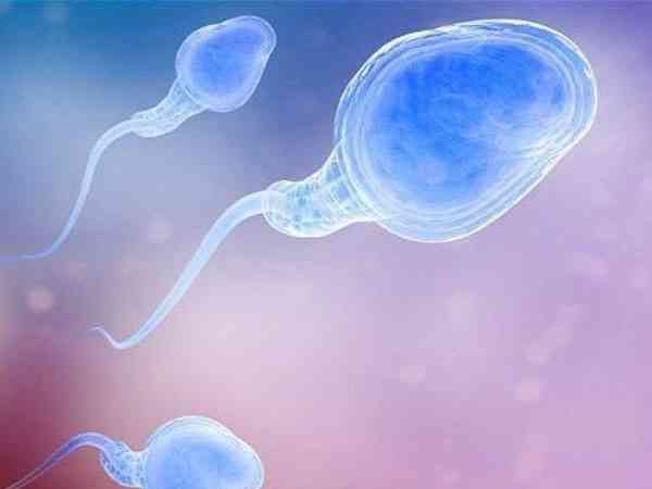 大头圆头精子能成功受孕吗？