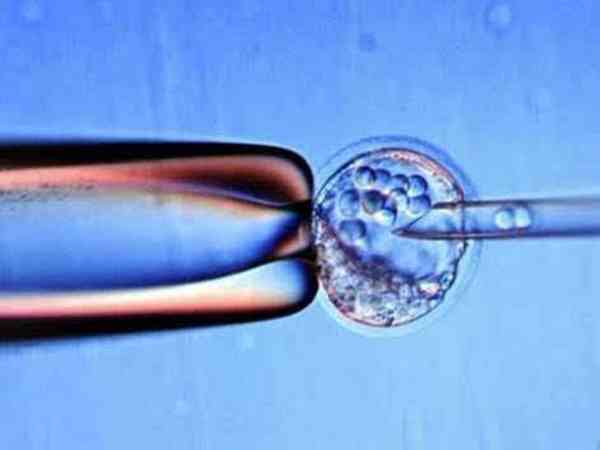 为什么pgs不通过的马赛克胚胎可以移植？