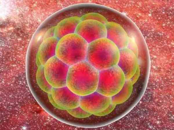有肾小球慢性肾炎的女性做试管一般是移植几个胚胎？
