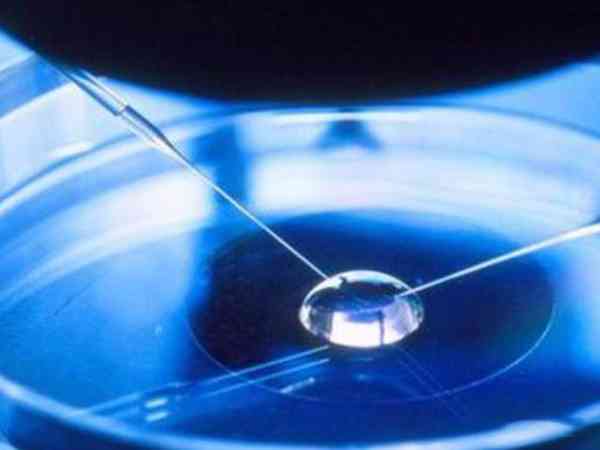 试管冻胚辅助孵化成功率有多少？