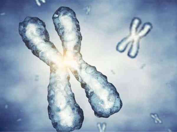 13号染色体三体可以做3代试管避免吗？