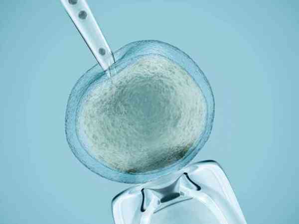 辅助孵化的囊胚移植后几天能完成着床？