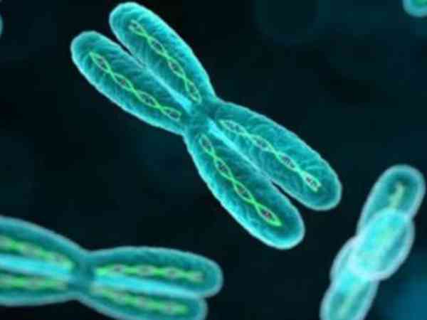 试管囊胚14号染色体异常会怎样？