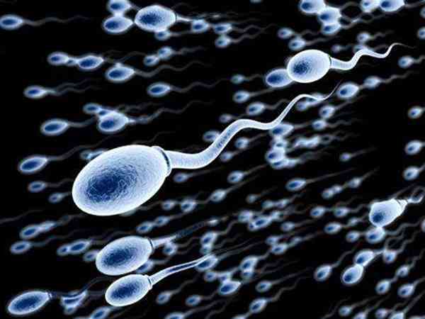 两个男人的精子可以做试管婴儿生孩子吗？