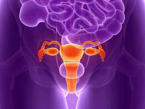子宫内膜6mm试管移植囊胚成功案例多不多？
